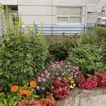 Photo taken by Christina L