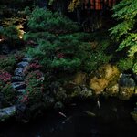 Photo taken by Caroline K