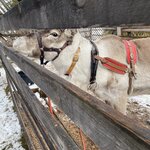 Photo taken by chelsea t