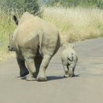 Photo taken by Linette B