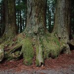 Photo taken by Caroline K