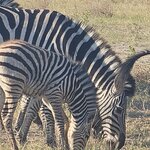 Photo taken by rhonda c