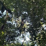 Photo taken by Imogen E