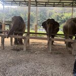 Photo taken by Brandon P