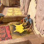 Photo taken by Cynthia F