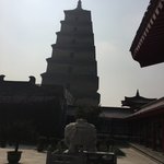 Photo taken by marianne d