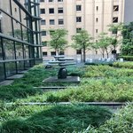 Hotel Maranouchi roof garden | Photo taken by peter e