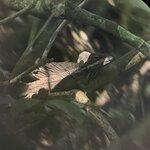 Photo taken by Joyce C