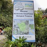 Monteverde's cloud forest | Photo taken by Anita L