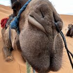 Photo taken by Miriam L