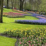 Photo taken by Shannon F