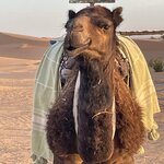 Photo taken by Don G