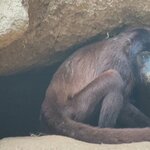 Photo taken by Shanthi V