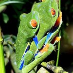 Photo taken by Ben B