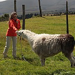 Photo taken by Marcia G