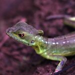 Photo taken by Kelly C