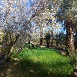 Photo taken by Maria R