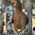 Photo taken by Mariah C