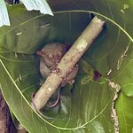 Photo taken by KLAUS A