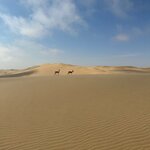 Photo taken by Sandro P