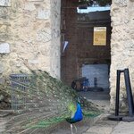 Photo taken by Alyson P