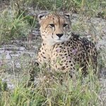 Photo taken by Kaye D