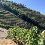 Photo taken by Helene M