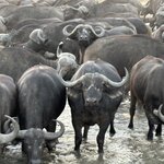 Photo taken by Paul B