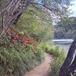 Photo taken by Ann P