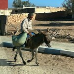 Photo taken by Raelene S