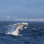 Photo taken by Debbie W