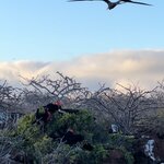 Photo taken by Maggie K