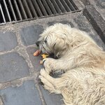 Photo taken by Gerald L