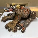 Photo taken by Erin J