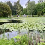 Photo taken by Brett T