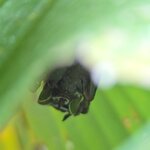 Photo taken by Ceinwen P