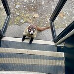 Photo taken by Robin W