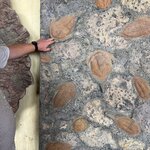 Photo taken by Della O