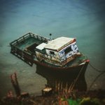 Photo taken by Beth S