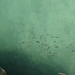 Photo taken by Jason C