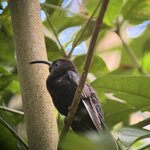 Photo taken by Bert B