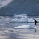 Photo taken by SANDRA V