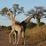 Photo taken by Kaye D