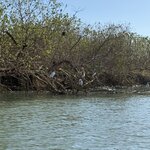 Photo taken by Bert B