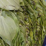 Photo taken by Peter J