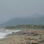 Photo taken by Brett F