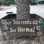 Parque de Los delcalzos-Bogota | Photo taken by Marion F