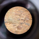 Photo taken by Lisa D