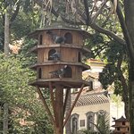 Photo taken by Lauren K