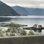 Photo taken by Cindi H